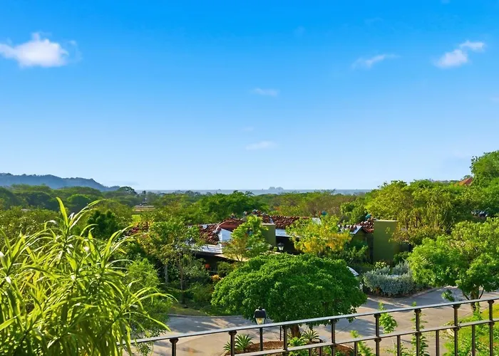 Ocean View In